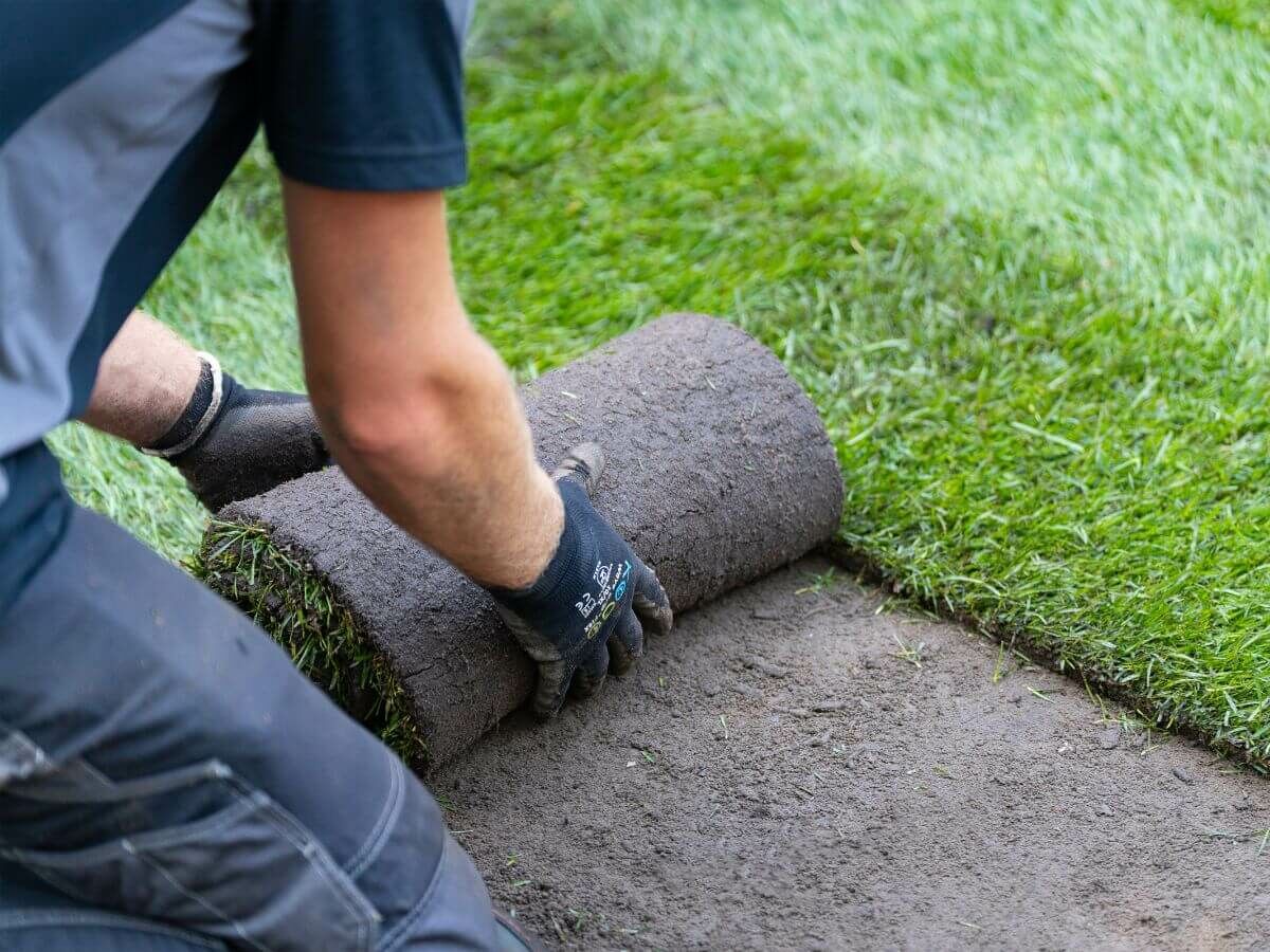 Schritt-für-Schritt-Anleitung zum Verlegen von Rollrasen